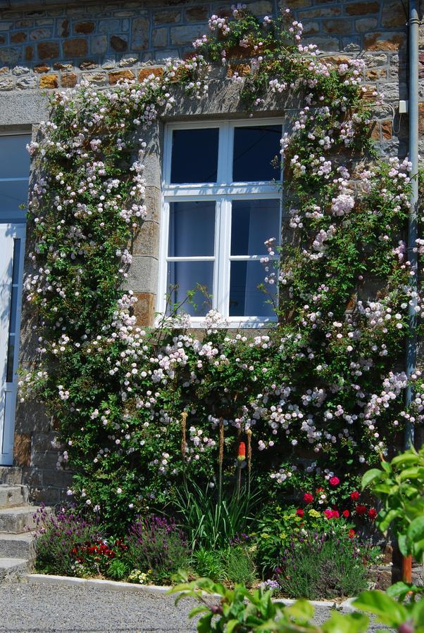 Bed and Breakfast Maison Voie Verte Bion Zewnętrze zdjęcie